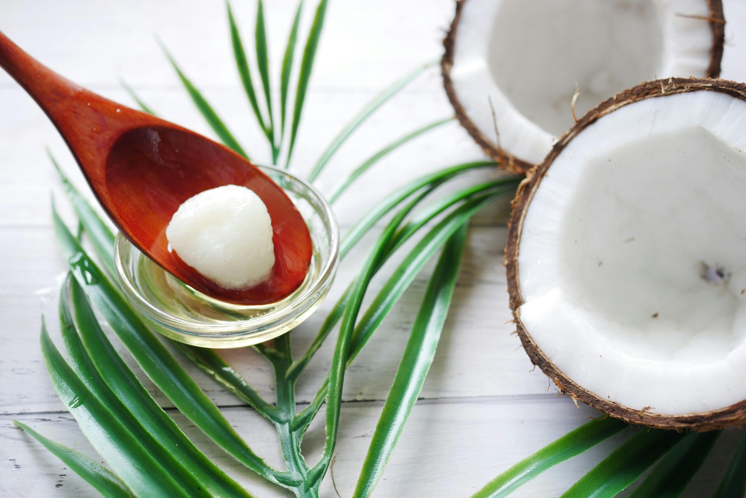 ¿Qué dosis de aceite de coco para perros es la correcta?