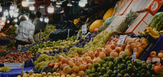 5 ‘Superalimentos’ Humanos que Alargan la Vida de tu Perro Senior